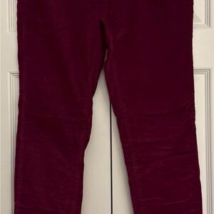 crown & ivy Burgundy Ankle Pants